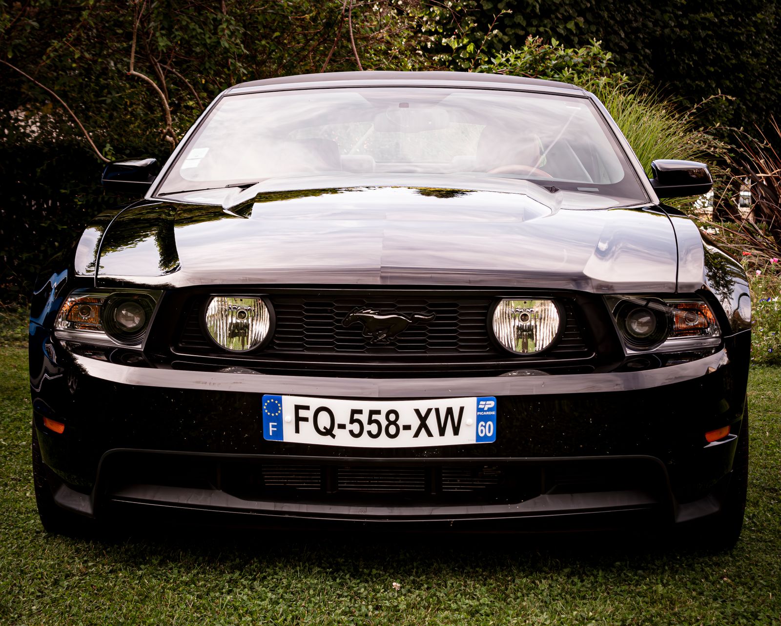 Black Ford Mustang parked on grass