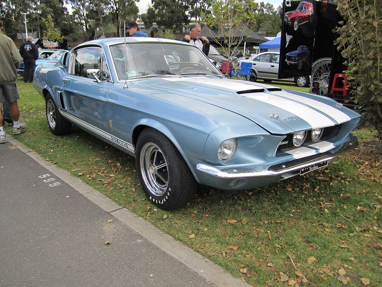 Shelby GT500 photograph