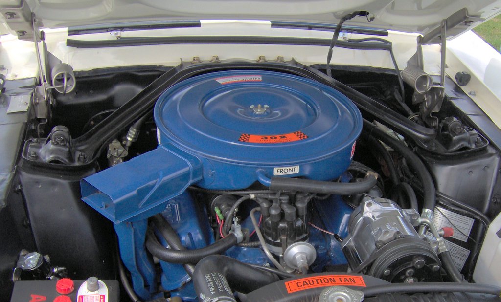 Ford 302 small-block V8 photograph