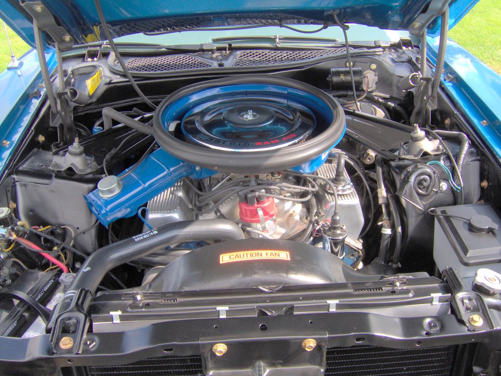 Ford 351 Cleveland V8 photograph