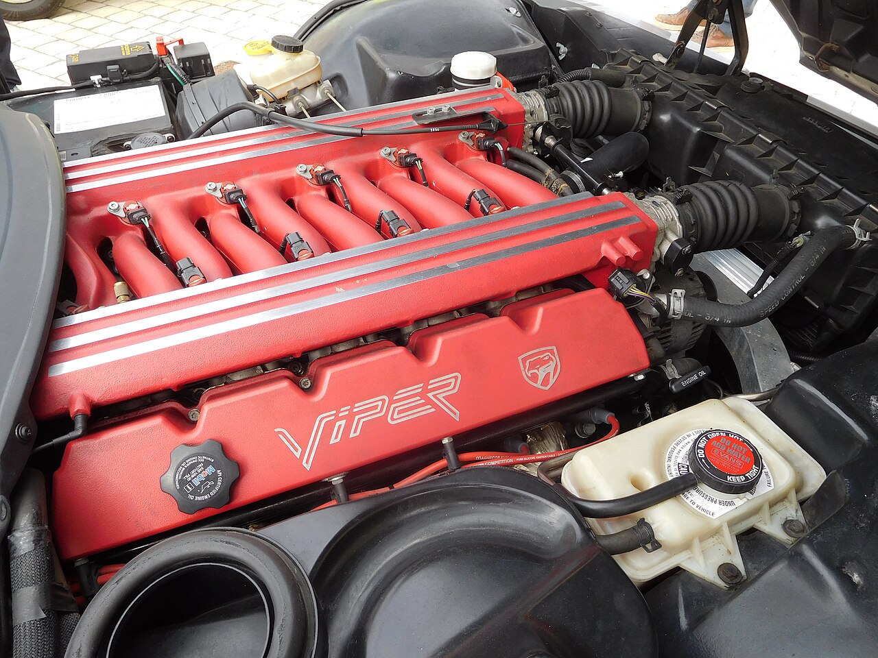 Dodge Viper V10 family photograph