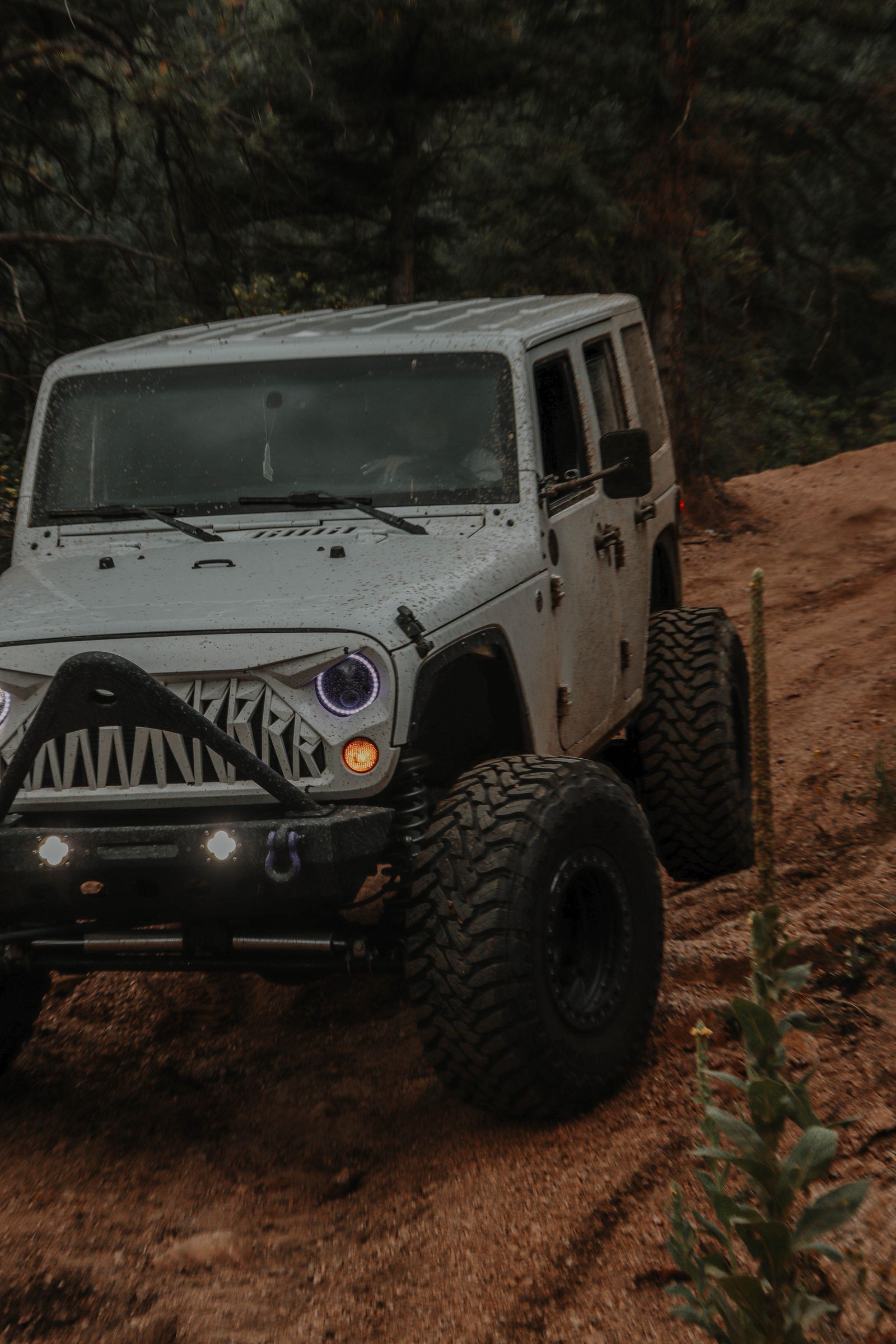 Modified four-door Jeep Wrangler on a forest trail