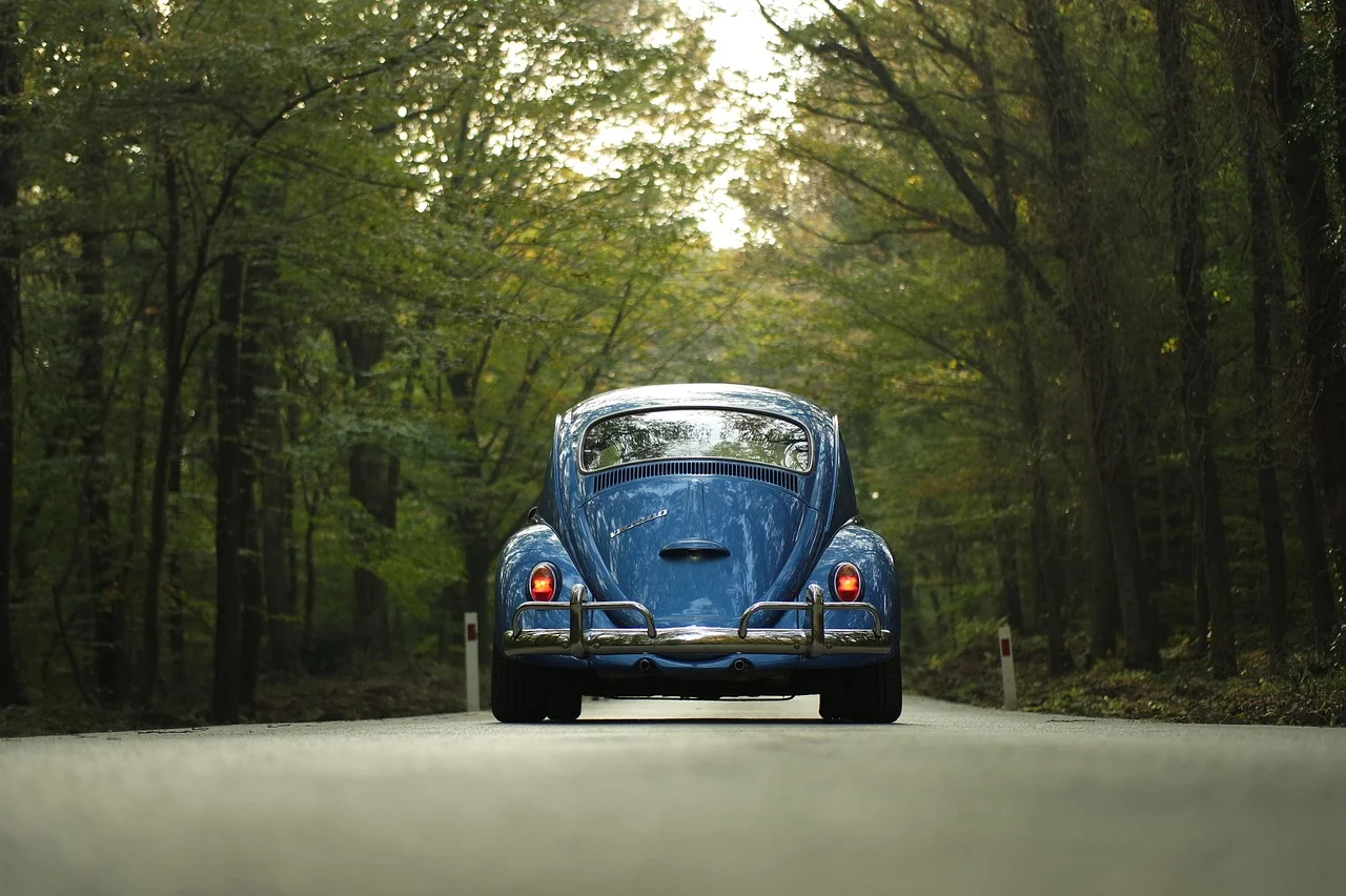 Volkswagen Escarabajo en una carretera forestal