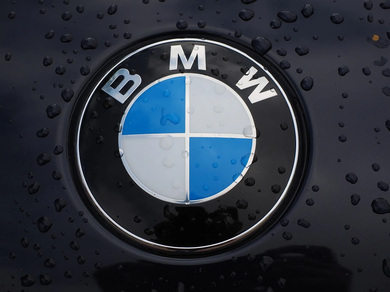 Emblema circular de BMW en el capó de un auto